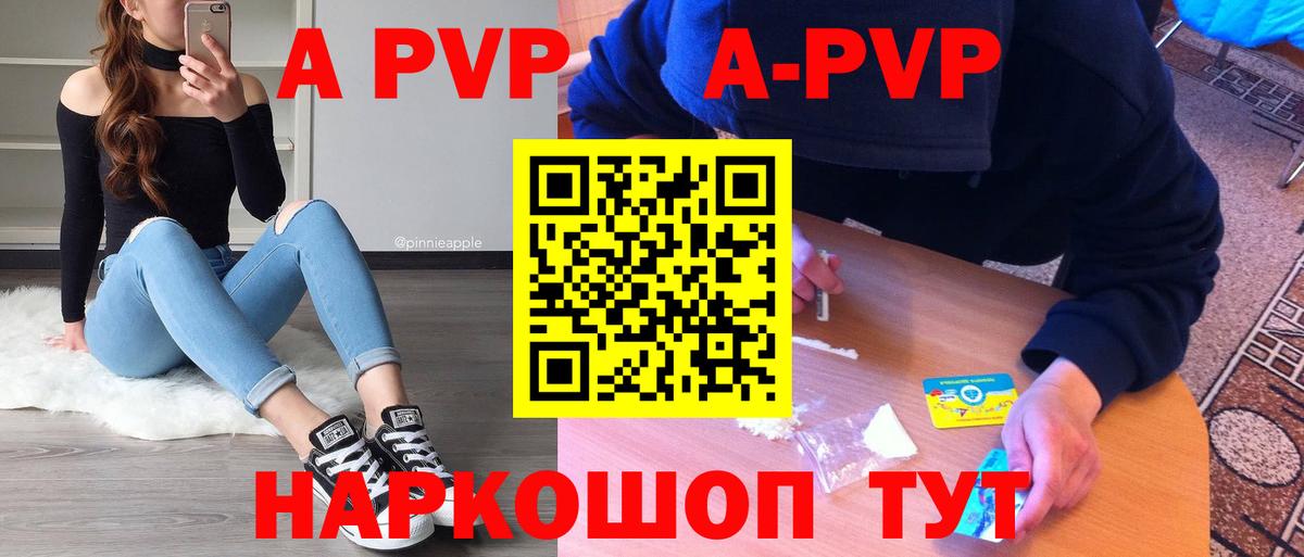 A PVP СК КРИС Славгород