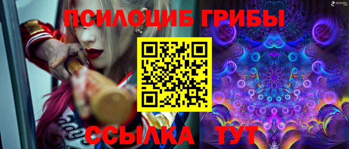 Псилоцибиновые грибы мухоморы Славгород