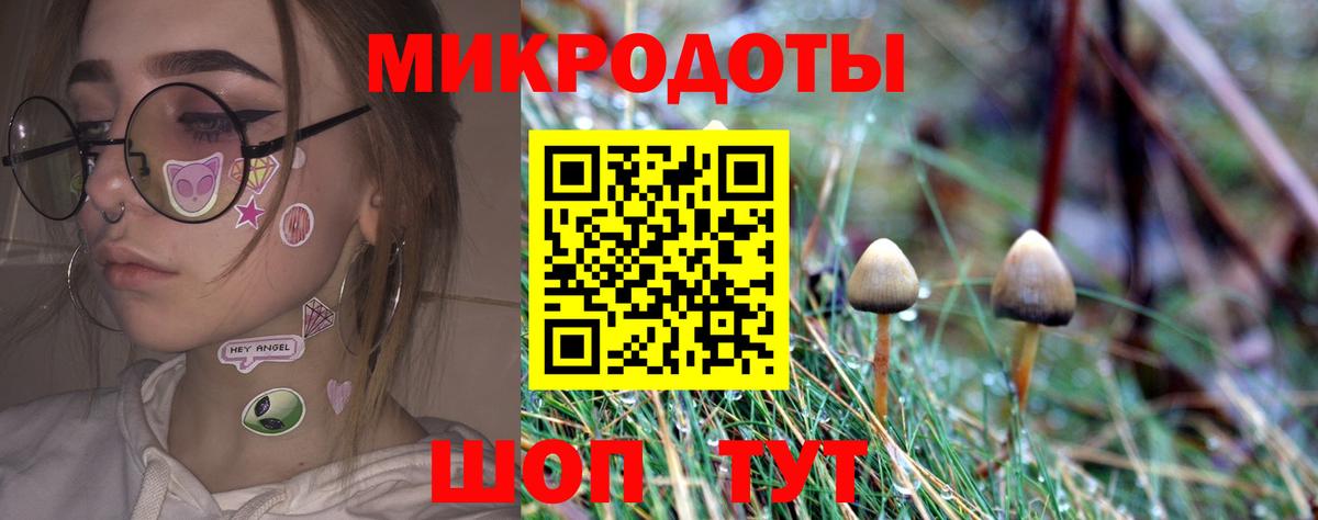 Галлюциногенные грибы Cubensis  Вход с VPN  Славгород  Псилоцибиновые грибы мухоморы 