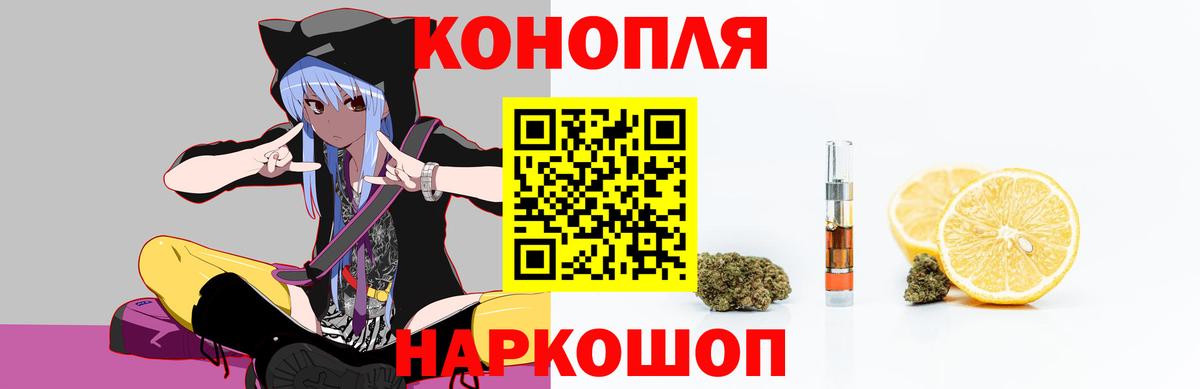 Конопля планчик Славгород